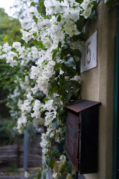Appartamento Genova Garden, Vicino Al Gaslini E Boccadasse Esterno foto